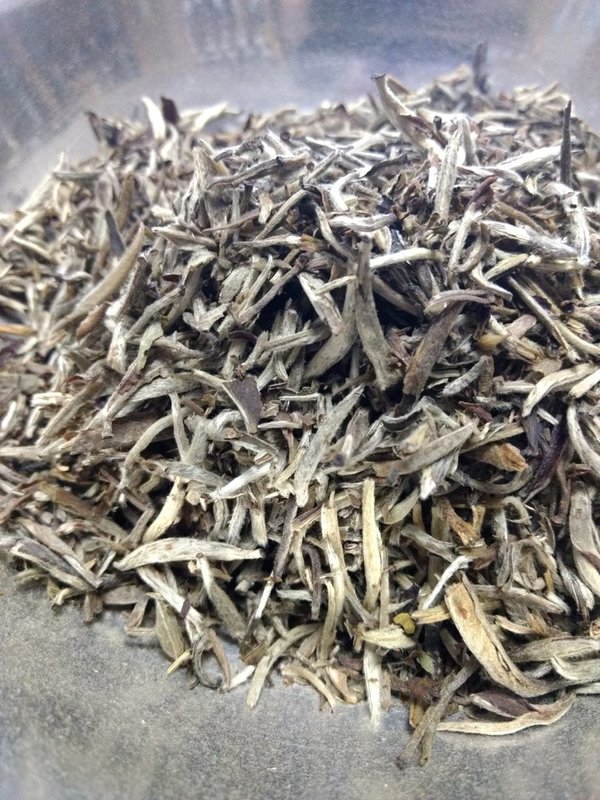 Weißer Tee - Yen Zen Silver Needle